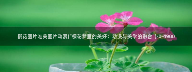 樱花动漫在线网站