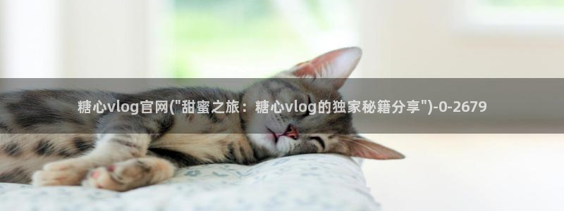 麻豆糖心vlog