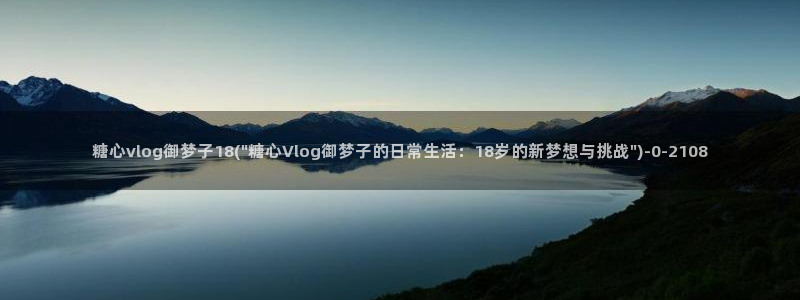 糖心vlog软件