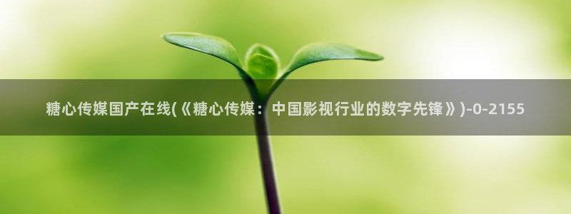 糖心vlog贴吧