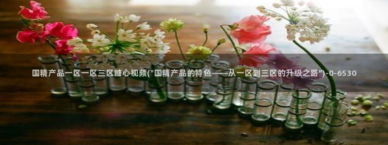 糖心 vlog 入口