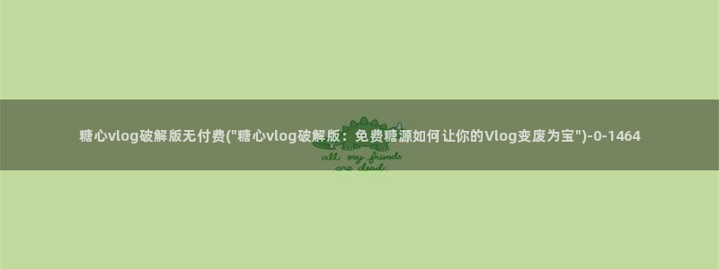 糖心vlog17c