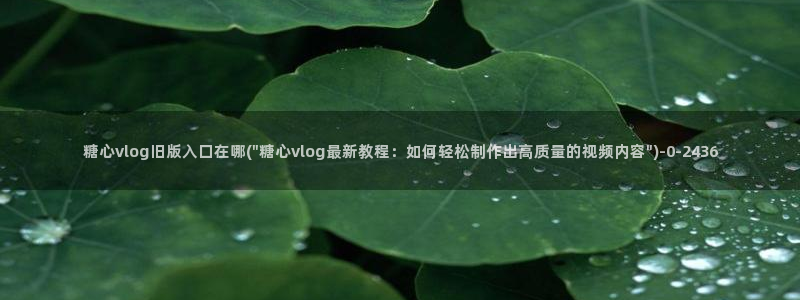 糖心vlog短视频