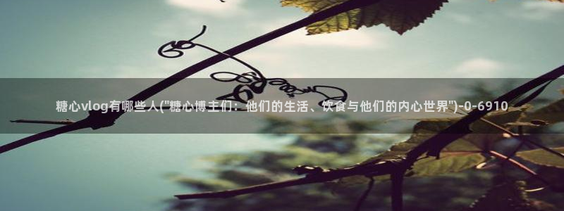 糖心小桃酱vlog