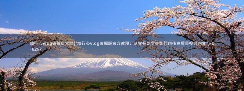 糖心vlog.www