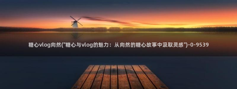 糖心vlog怎么
