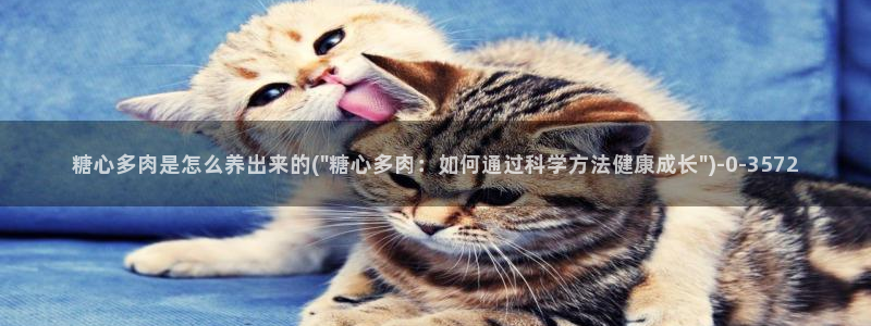 糖心vlog】