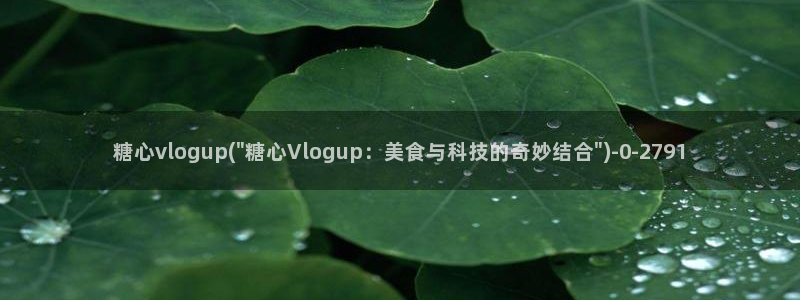 糖心视频vlog免费版