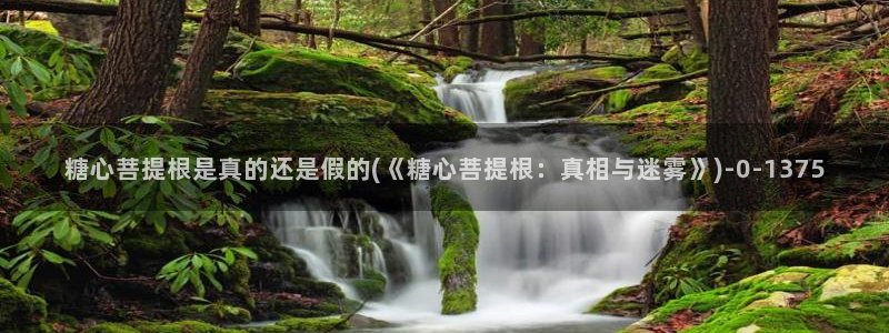 糖心vlog入口