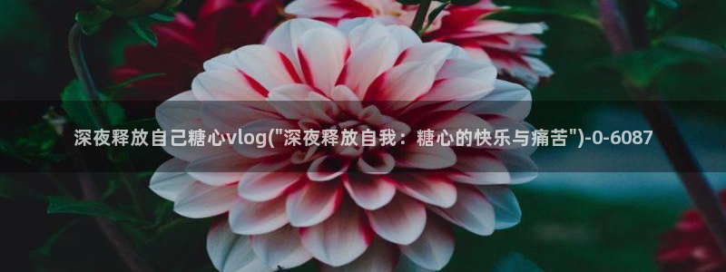 糖心vlog在线观看