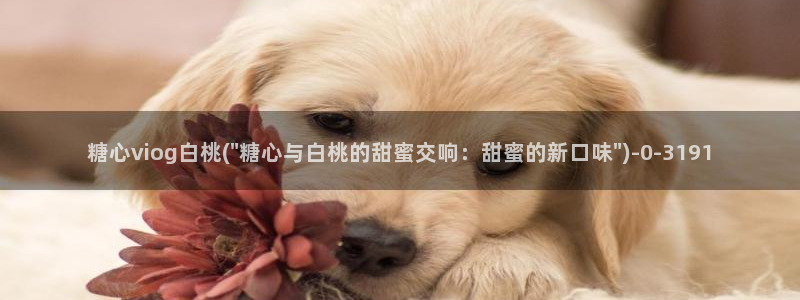 糖心vlog扣扣传媒粉色