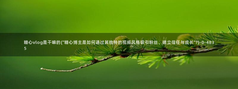 糖心vlog安全吗