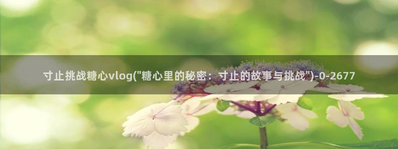 糖心vlog国产剧
