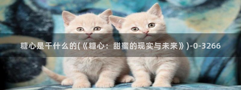 糖心vlog所有演员