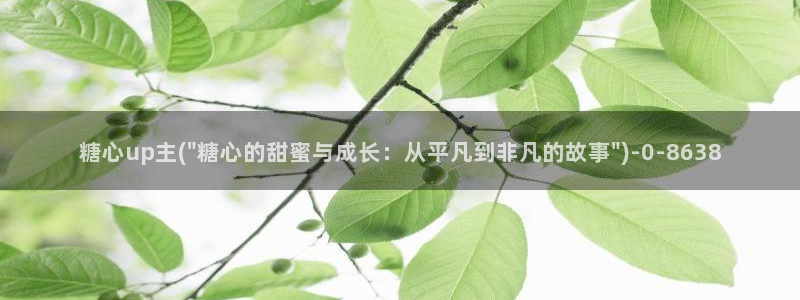 糖心vlog最新一集
