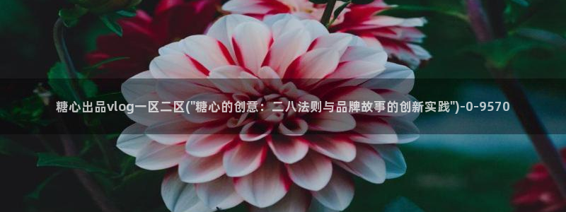 糖心八大家vlog
