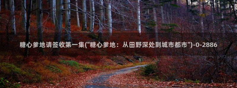 糖心vlog