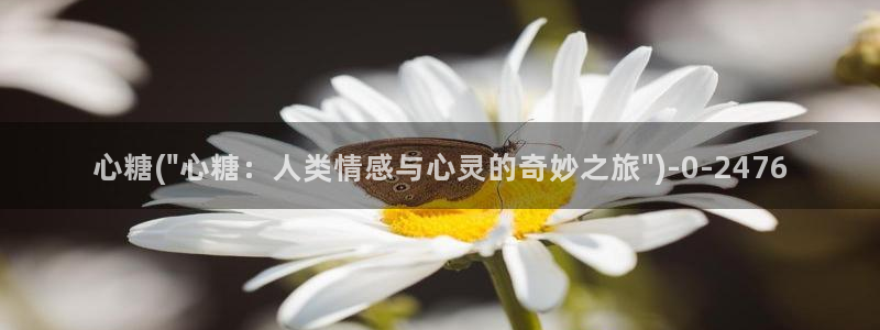 糖心传媒vlog